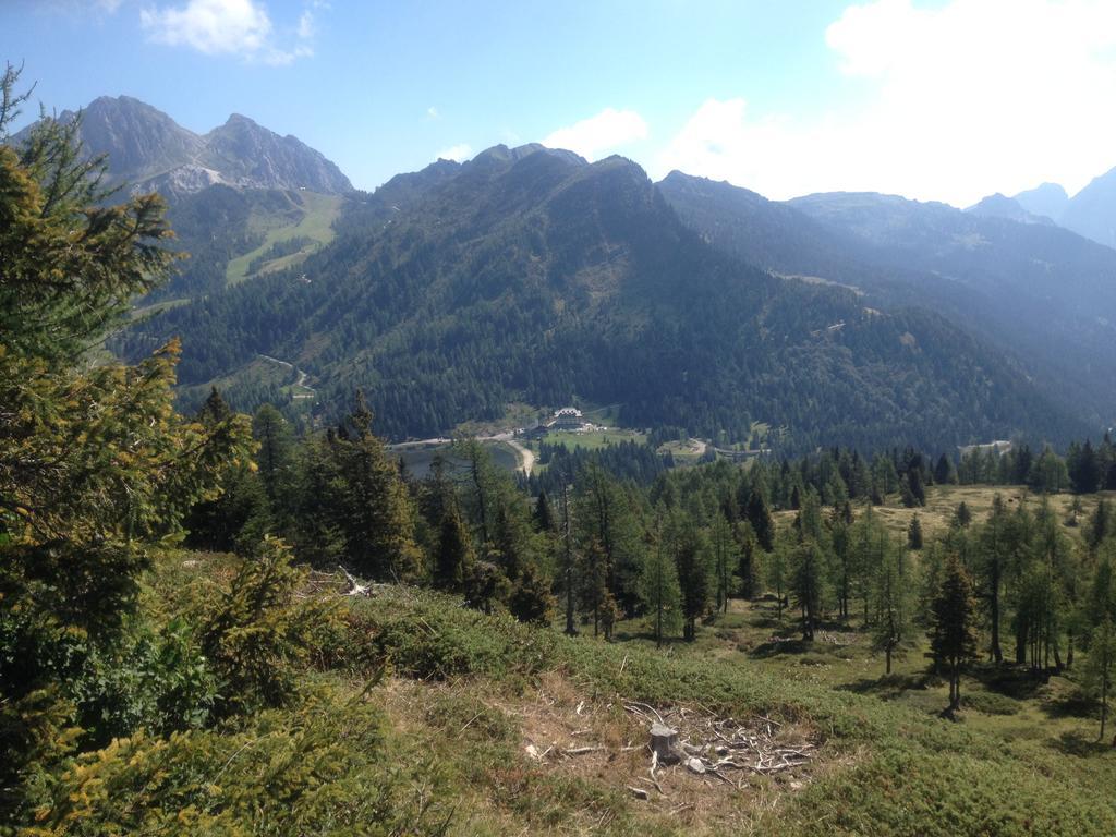Apartament Gritzner