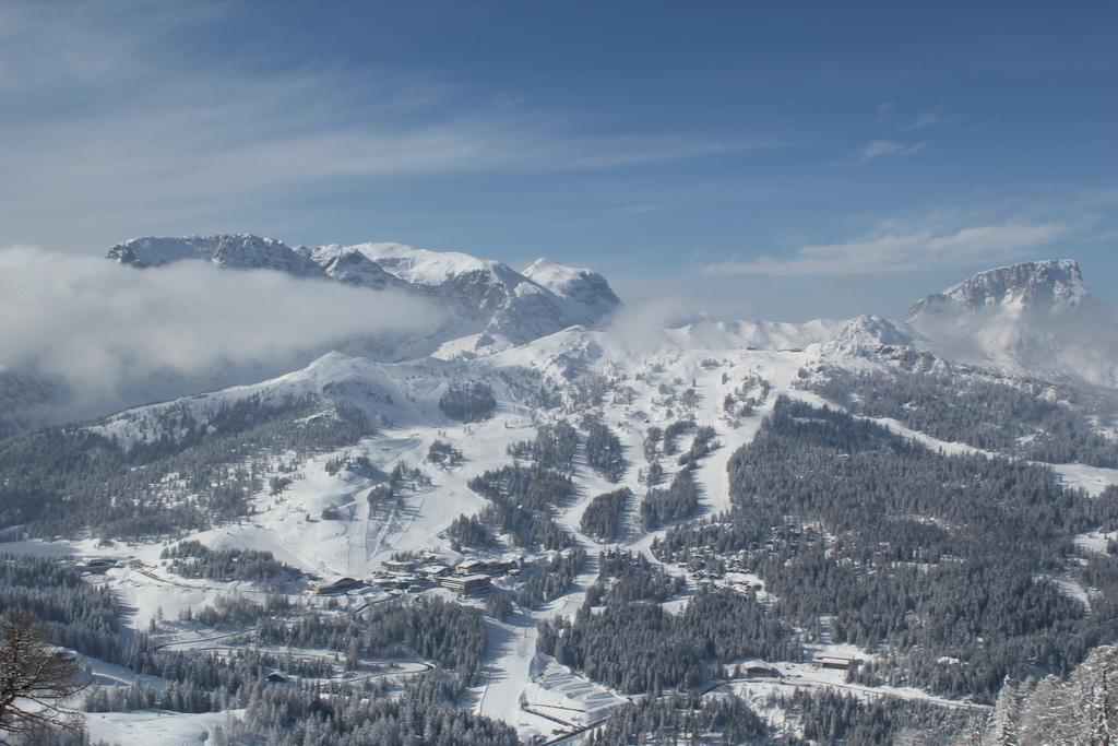 Gritzner Apartament